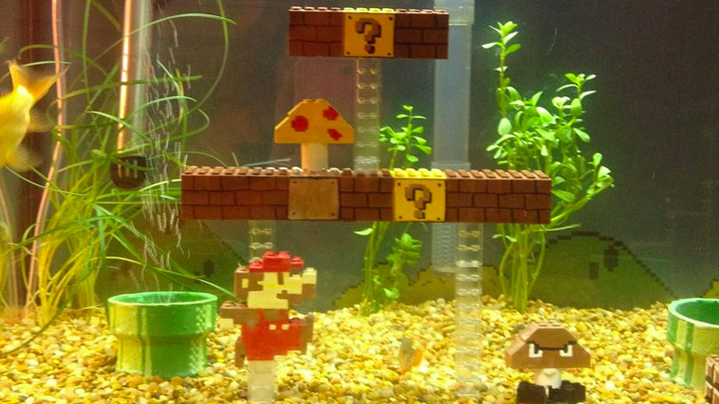 Illustration for article titled Do Fire Flowers Still Work In This Awesome Super Mario Aquarium?
